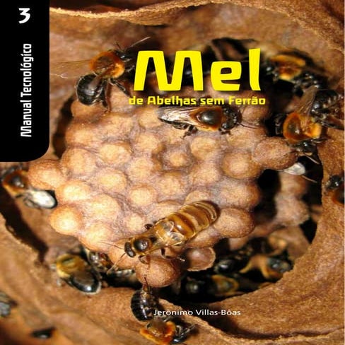 livro Abelhas sem ferrão
