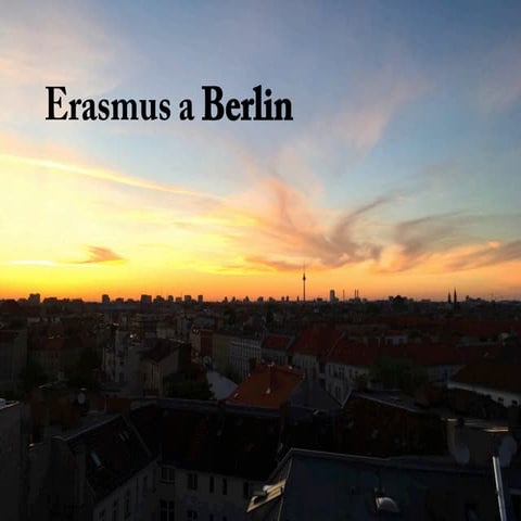 Erasmus Freie Universitaet (Berlin) - Gerard Albreda (2017)