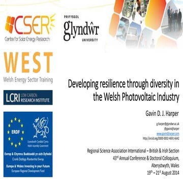 Developing Resilience Through Diversity in the Welsh Photovoltaic Industry