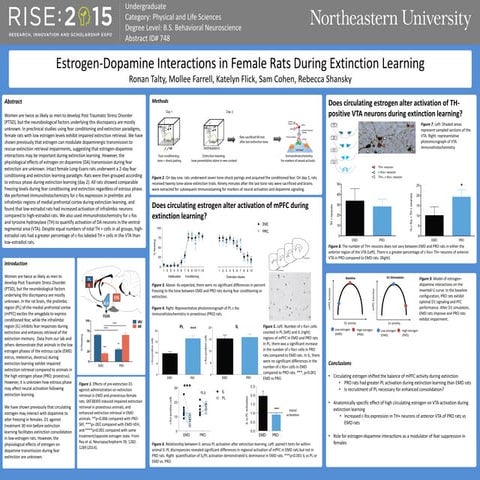 Ronan Talty - RISE 2015 Poster | PDF