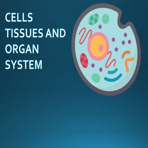 Abhay_cell tissues and the organ system.pptx