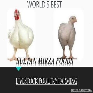 Project on Poultry