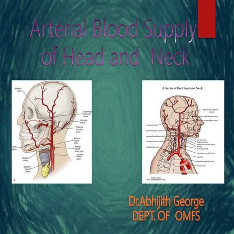 Blood supply of head and neck | PPTX
