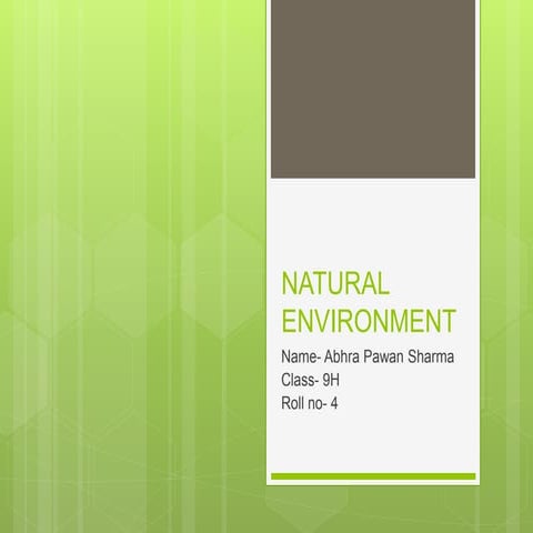 NATURAL ENVIRONMENT