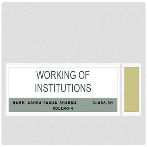 WORKING OF INSTITUTIONS