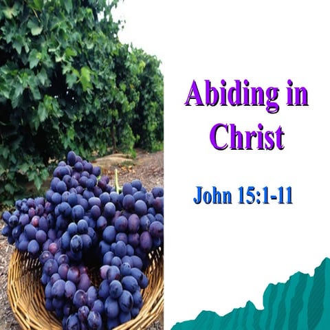 Abiding In Christ, John 15.