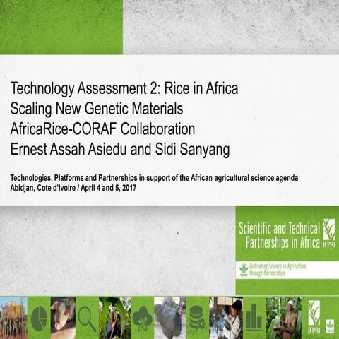 Technology Assessment 2: Rice in Africa Scaling New Genetic Materials 