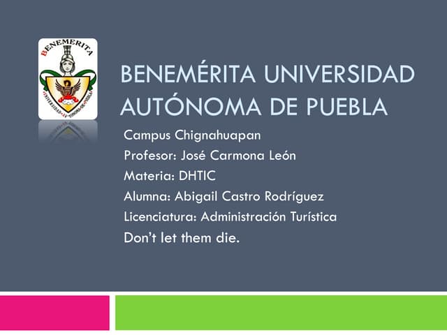 Presentación Hoteles bajo el mar