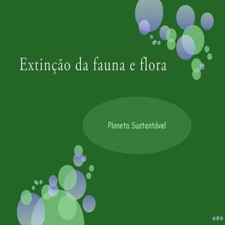A biodiversidade da fauna e da flora. 