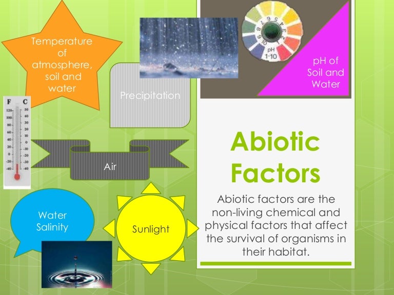 Abiotic and Biotic Factors