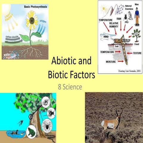 Abiotic and biotic factors