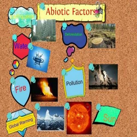 Abiotic factors final ppt