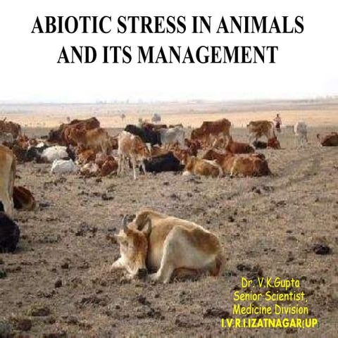 Abiotic stress in animals