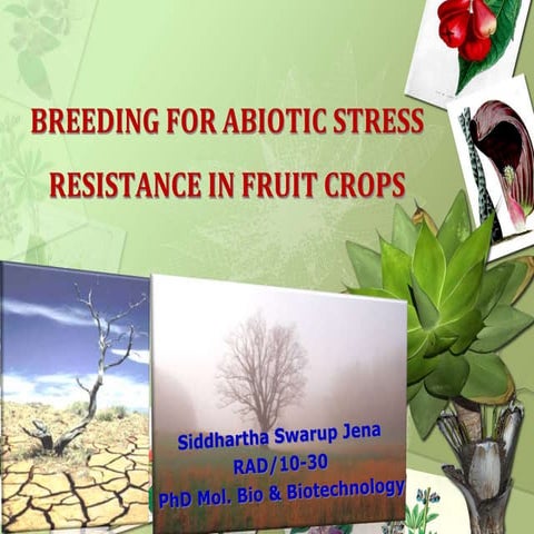 Abiotic stress resistance @ sid