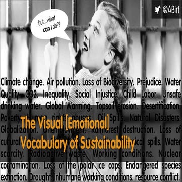 The Visual [Emotional] Vocabulary of Sustainability