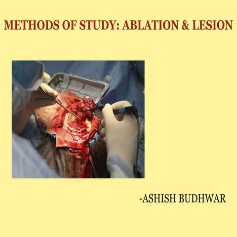 Ablation &amp; lesion