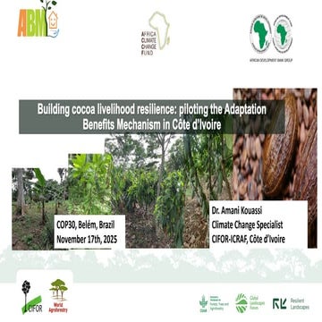 Building cocoa livelihood resilience: piloting the Adaptation Benefits Mechan...