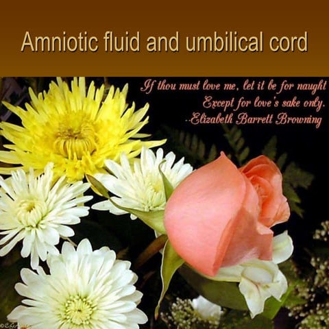 Abnormality of amniotic fluid and cord 