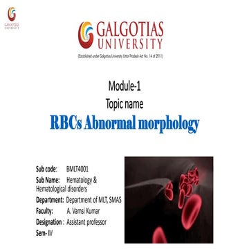 Abnormal morphology of rbc notes