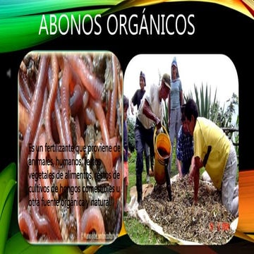 avendaño Chacon  Abonos orgánicos