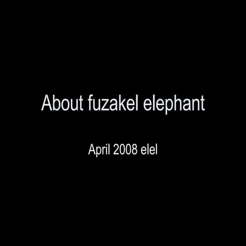 About Fuzakel Elephant