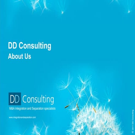 About DD Consulting