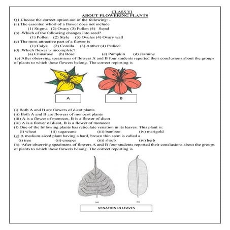 About flowering plants