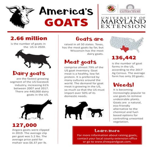 America's Goats