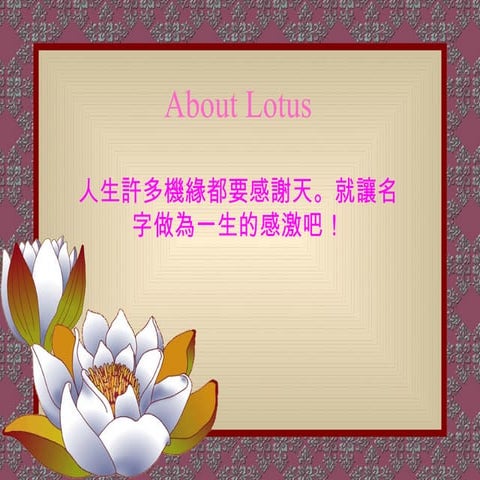 About Lotus
