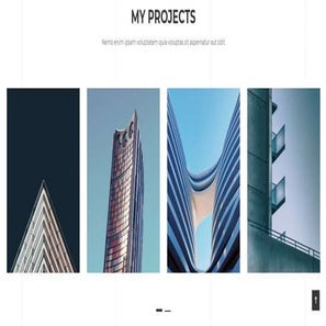 Wordpress website | PDF