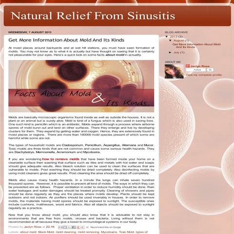 About Mold & Its Kinds