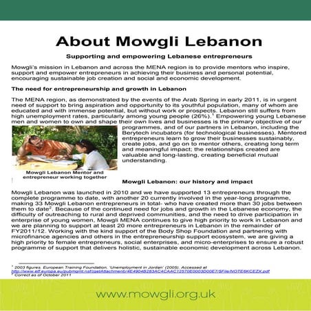 About Mowgli in Lebanon: Mentoring entrepreneurs