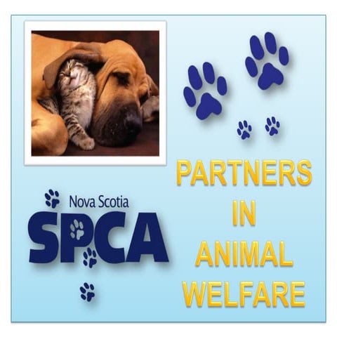 About the ns spca   corporate