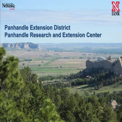 Rental Housing at the Panhandle Research and Extension Center | POTX