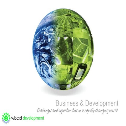 Delivering on the Sustainable Development Goals: The inclusive business ...