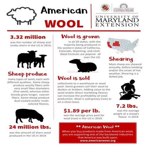 American wool