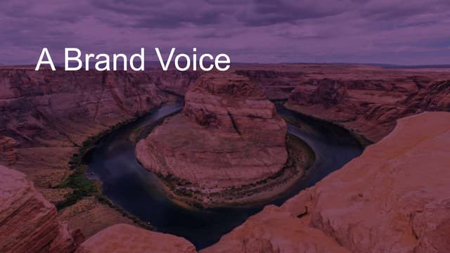 A Brand Voice
