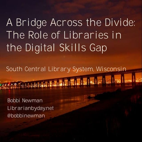 A Bridge Across the Divide: The Role of Libraries in the Digital Skills Gap