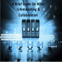 A Brief Guide On What Is Networking & Collaboration
