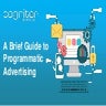 A Brief Guide to Programmatic Advertising.pptx