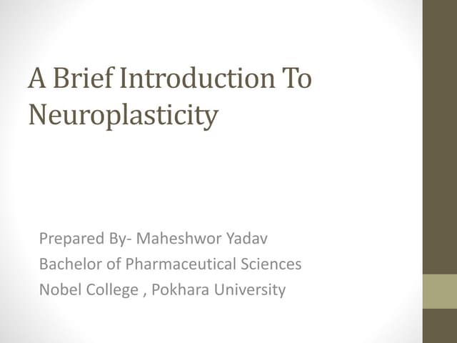 A brief introduction to NEUROPLASTICITY