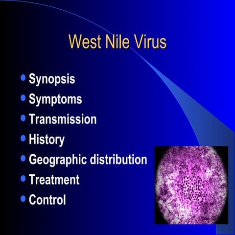 西尼罗河病毒简介(A brief introduction_to_west_nile_virus)