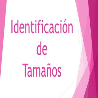Identifica los tamaños (grande-medi...