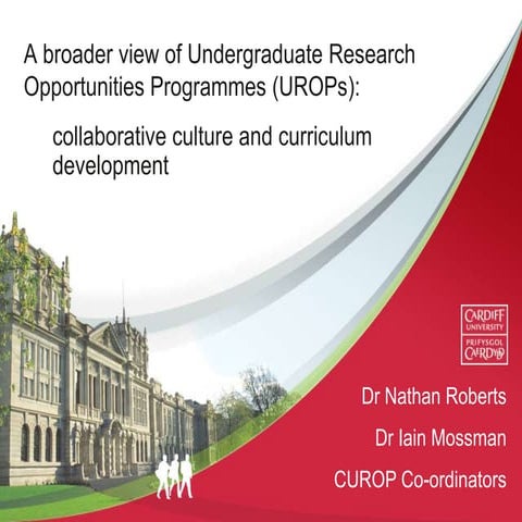 A broader view of undergraduate research opportunity programmes: collaborative culture and curriculum development