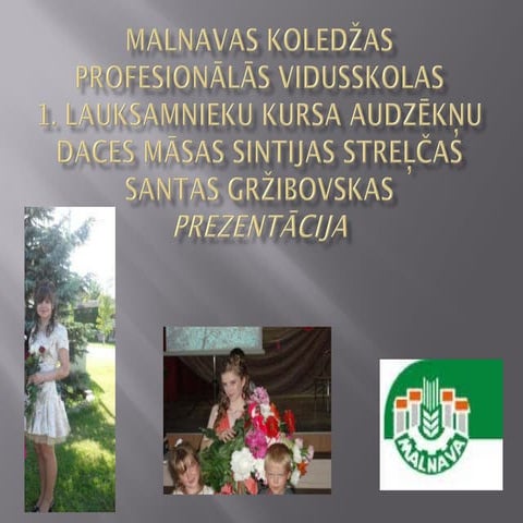 Absolvente Dace Balāne