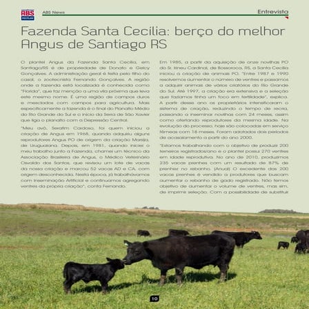 Entrevista com Fernando Gonçalves