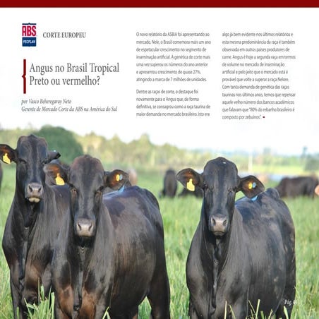 Abs news marco 12 preto e vermelho