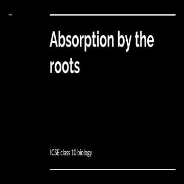 Absorption by the roots