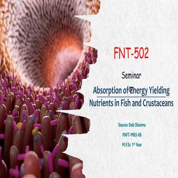 ABSORPTION OF ENERGY YIELDING NUTRIENTS OF FISH AND CRUSTACEANS.pptx