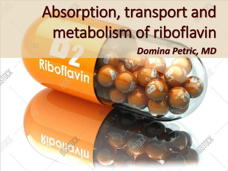 Absorption, transport and metabolism of riboflavin